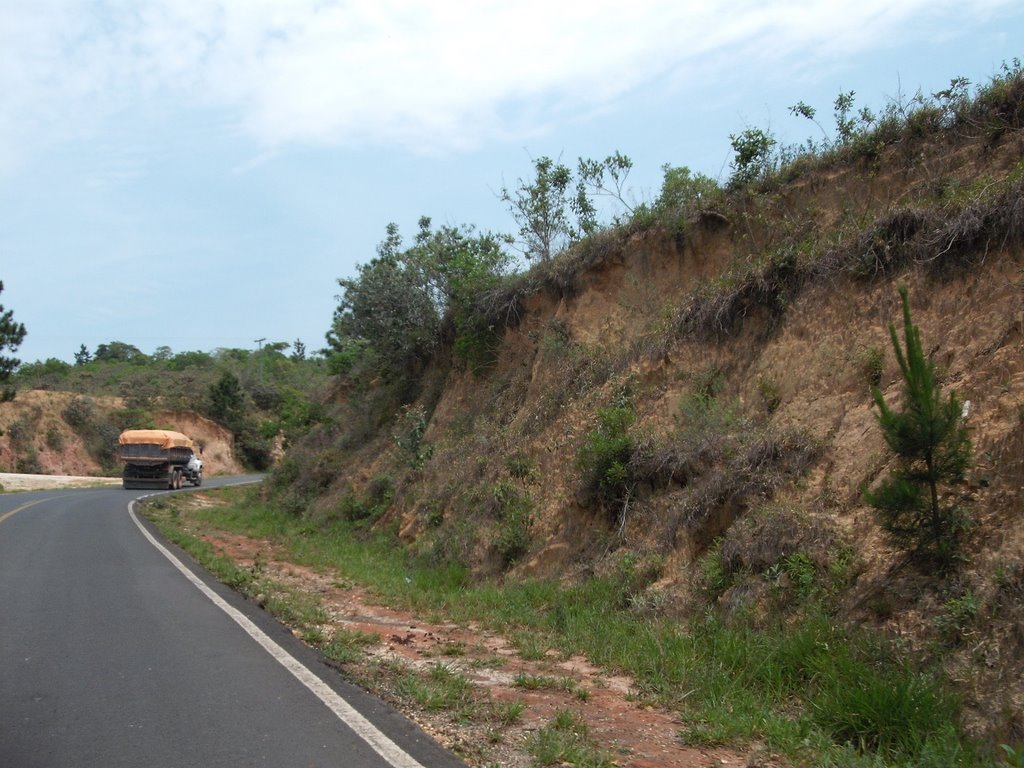 Rodovia Campina do Monte Alegre/Buri by LuziACruzFrata