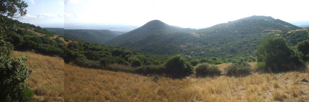 Seneghe Monte Conca e Mele by Luigi Tedde