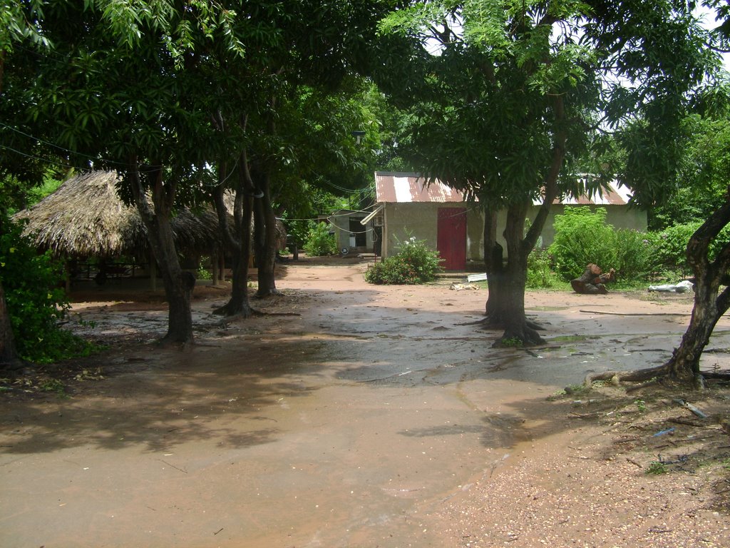 Casa de la familia cabeza-- sector chaparralito el progreso mapire by david agustin romero cabeza