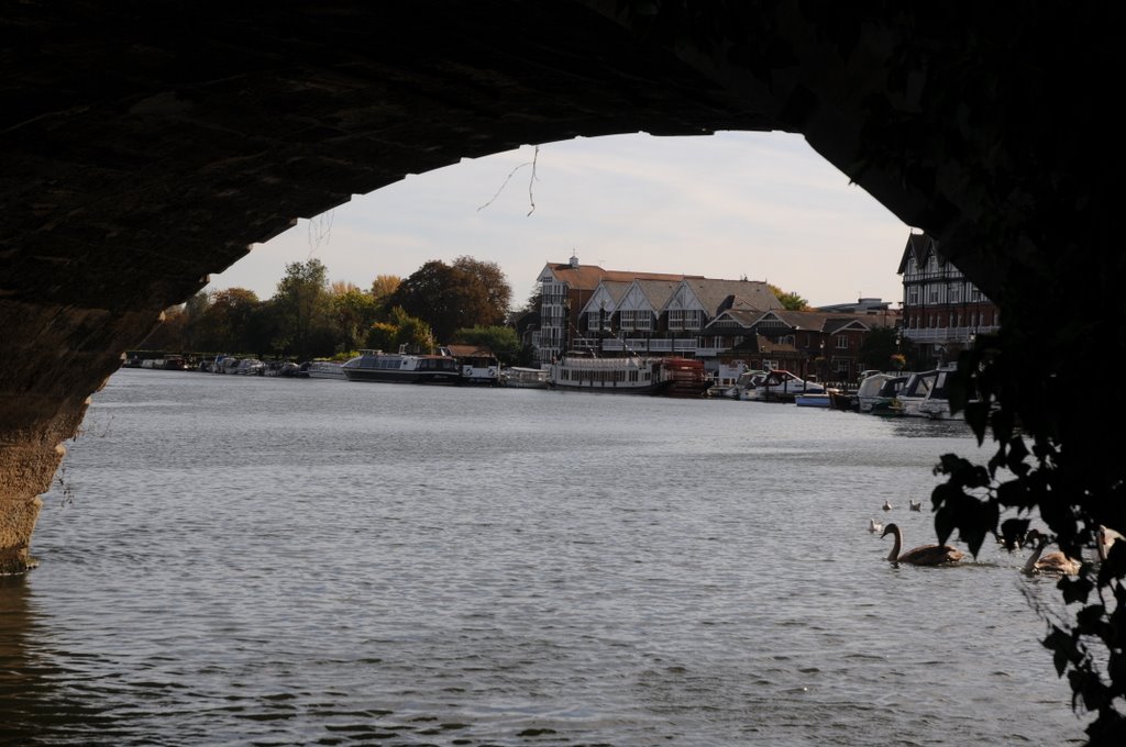 Under the bridge by Matt Ranftl