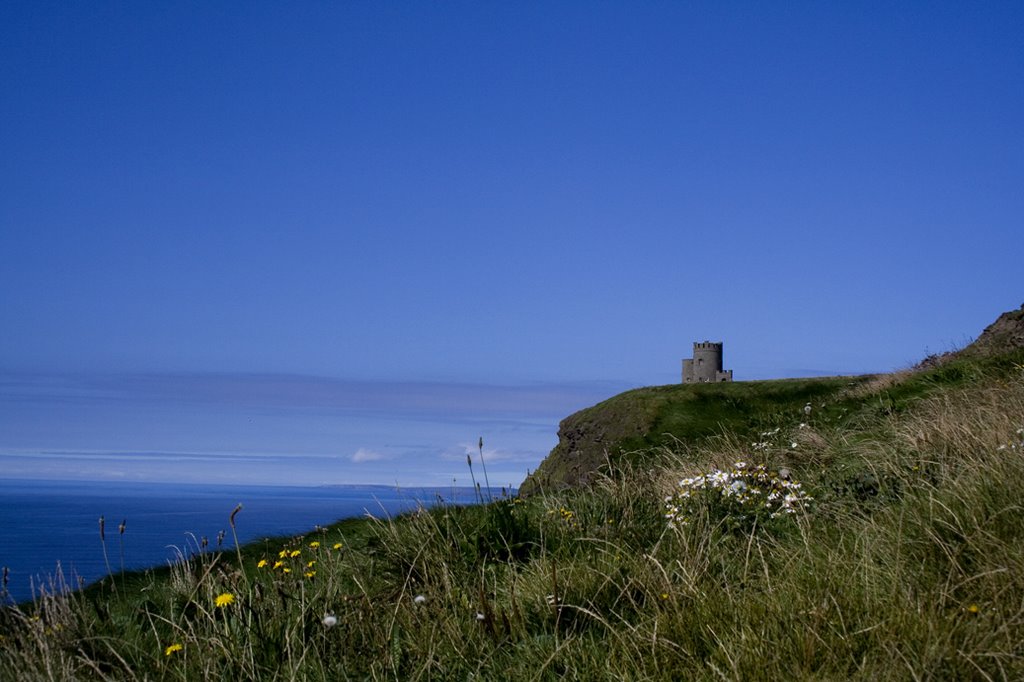 Castle at the Cliffs by sean n