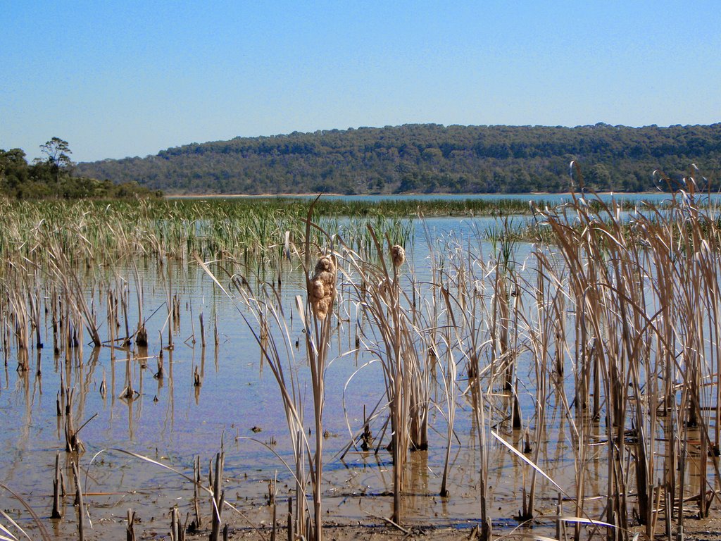 Lysterfield Lake by ΅ PhotoKazia ΅