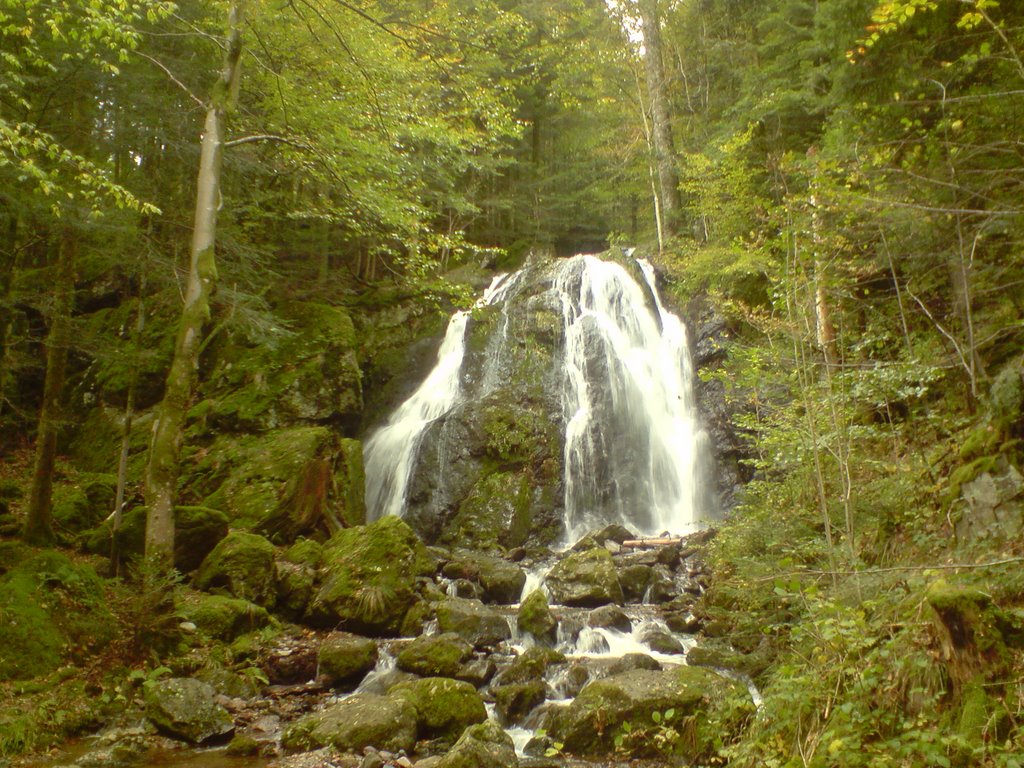 Goutte des saules dernière by raphael70