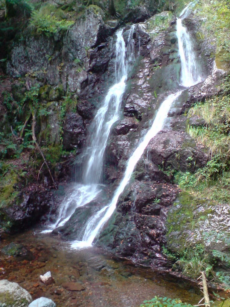 Goutte des saules 2ème by raphael70