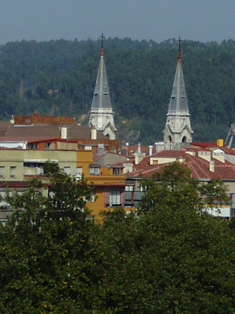 Torres de la iglesia de sabugo by nash_66