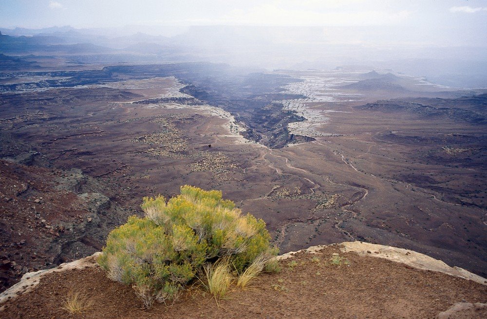 Buck Canyon, Canyonlands National park by mypictures4u.com