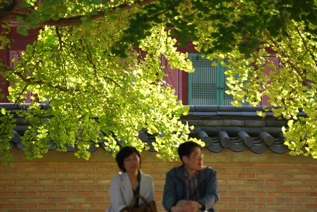 GyongBok-gung Palace by LEE,Korea