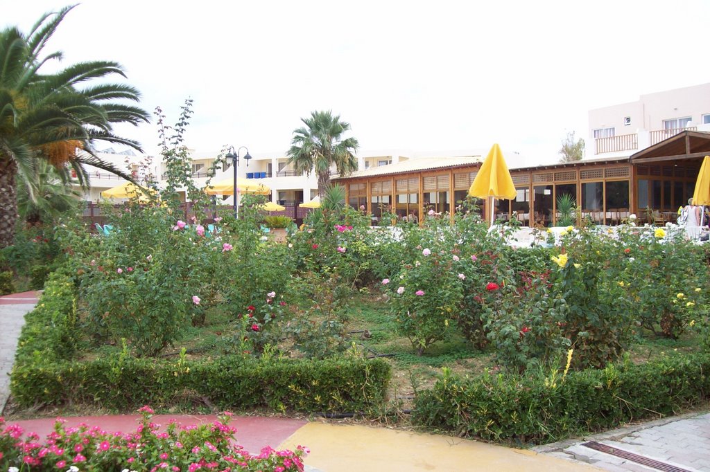 Vue du restaurant au dessus de la piscine du Delfina Beach by France-42