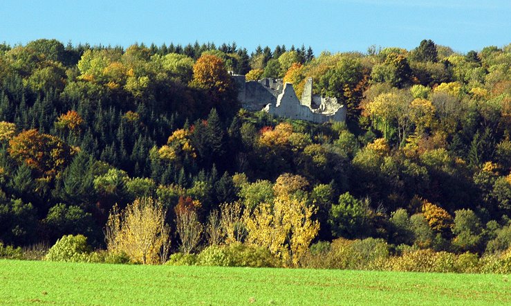 39270 Présilly, France by Robert LE PENNEC