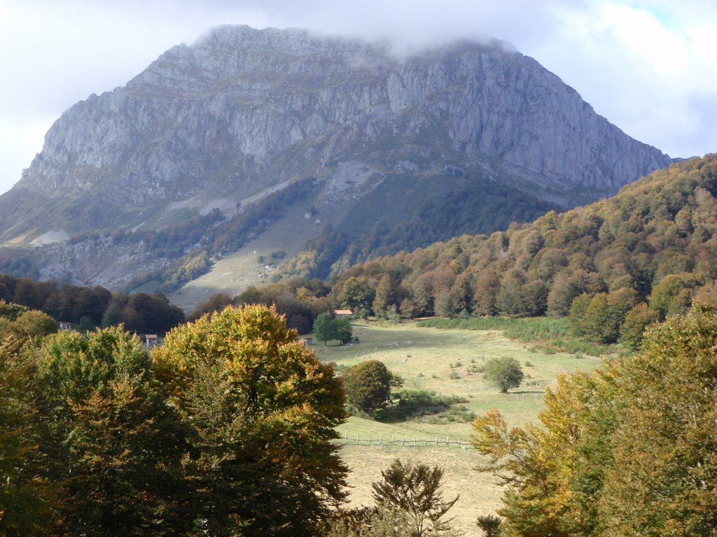 BOSQUE EN VEGAVAÑO; País Llïonés by LLANADAY