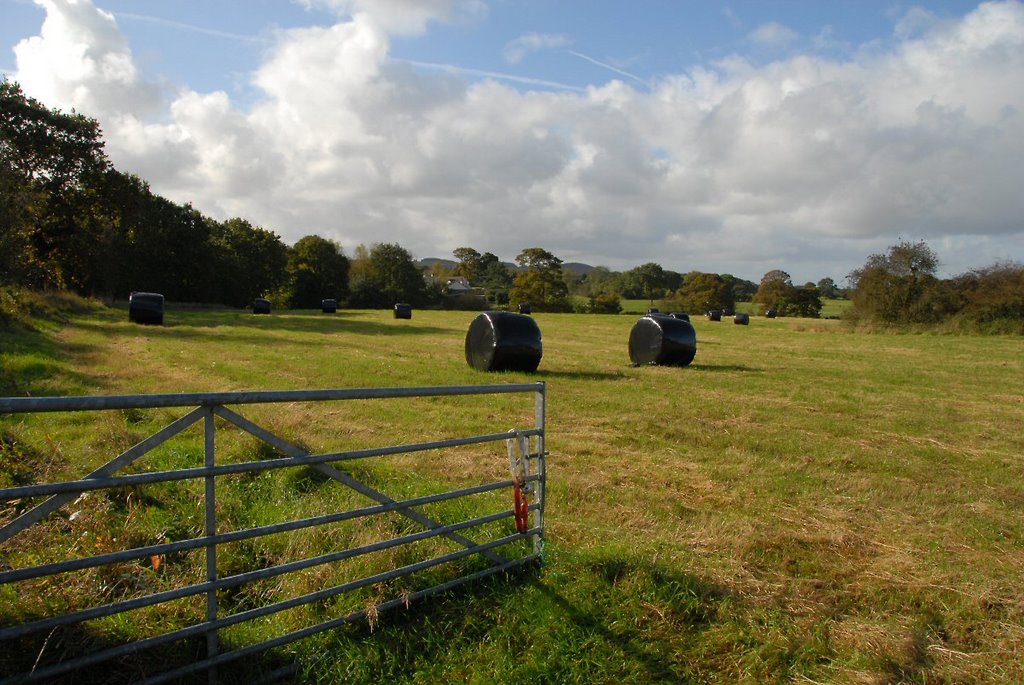 Gate by David Humphreys