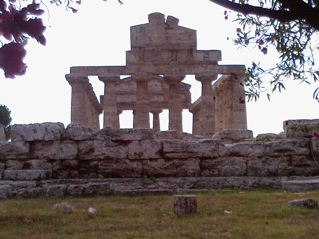 84047 Paestum SA, Italy by Cumpà