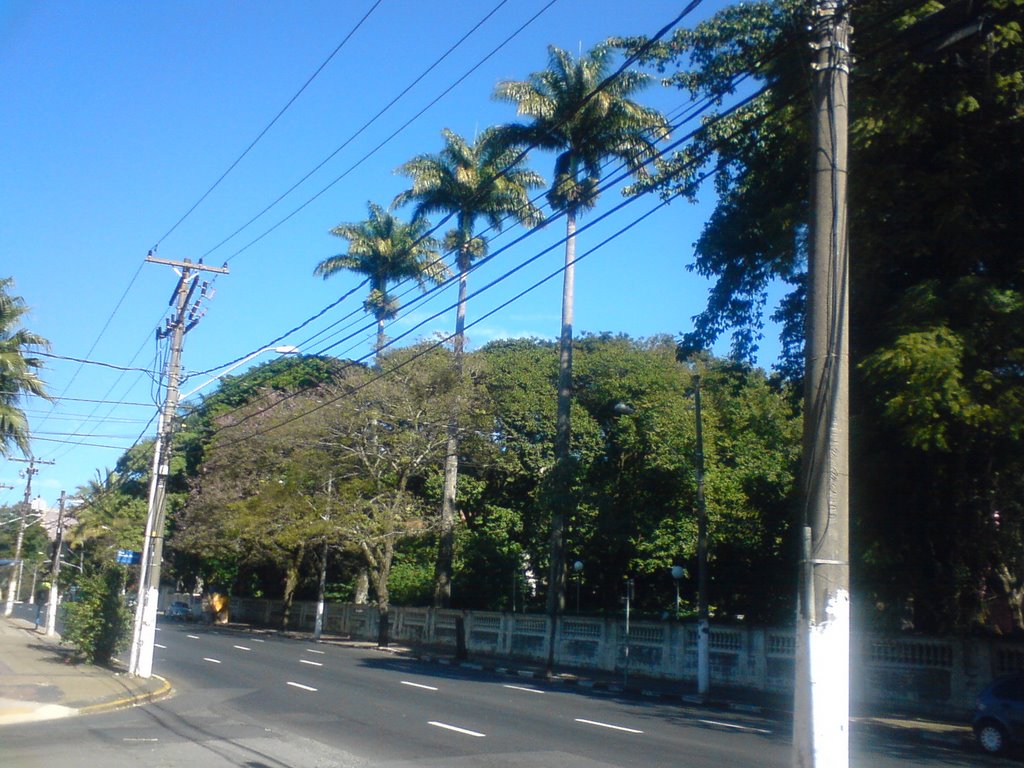 Av. Barão de Itapura. by enioprado