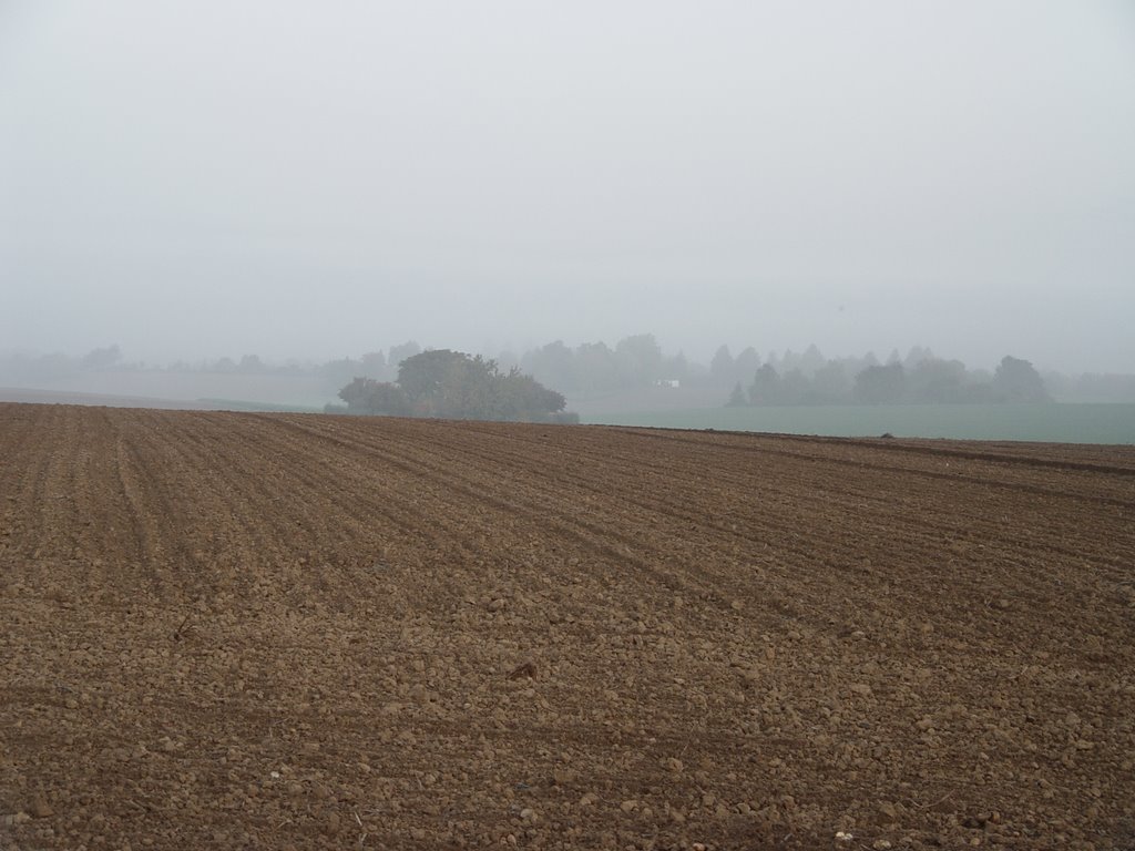 Herbstliche Landschaft um Flein by ichbins bernd