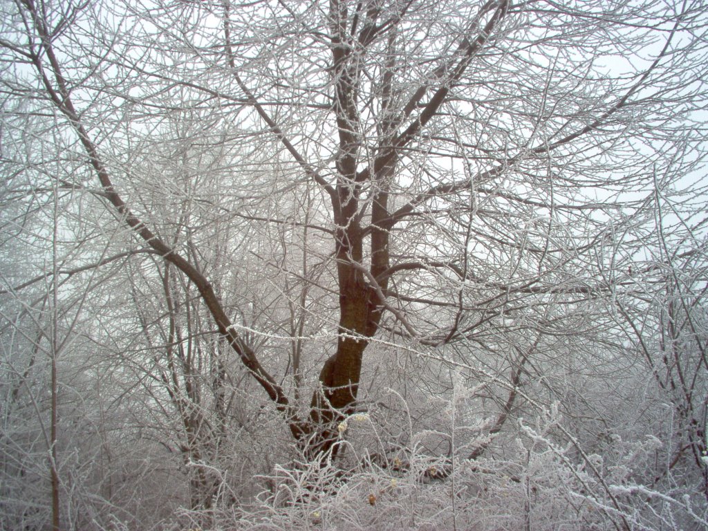 Füzér, Hungary by HAJDU PÉTER