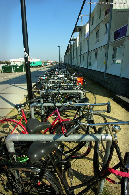 Student Bikes by edwardsmidt