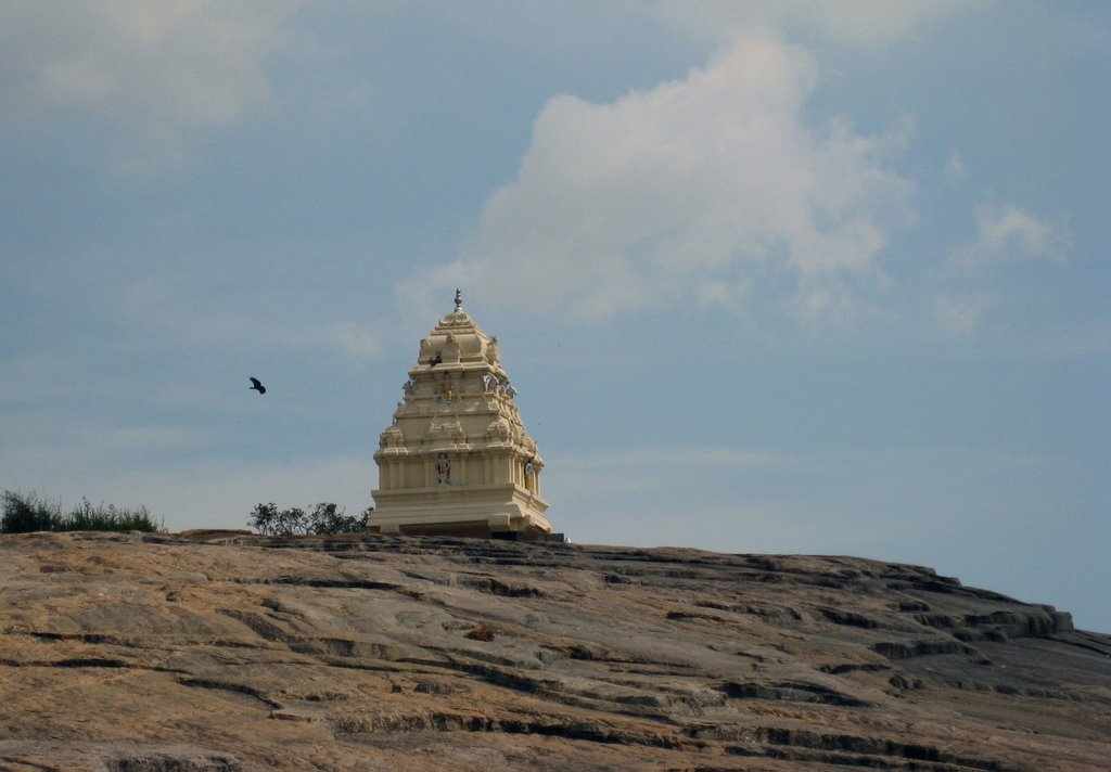 Kempe Gowda Tower by mike richardson