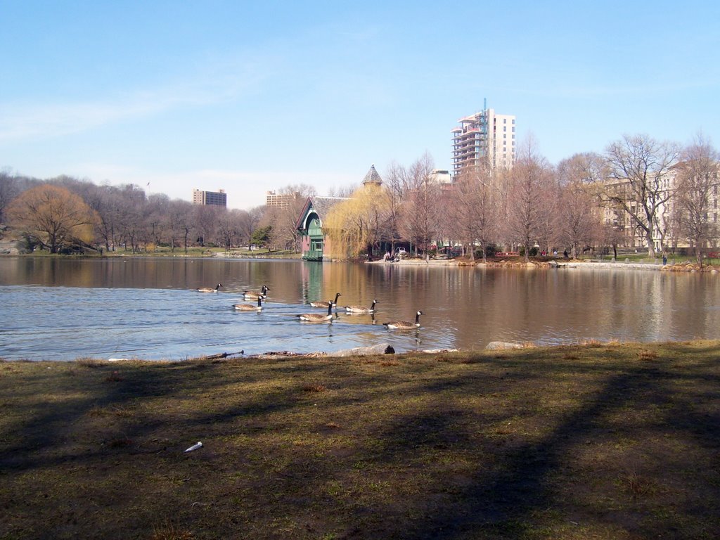 Harlem Meer Central Park NY,USA by Manuel Santiago