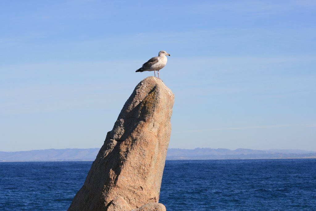 Lover's Point, Pacific Grove CA by Über G