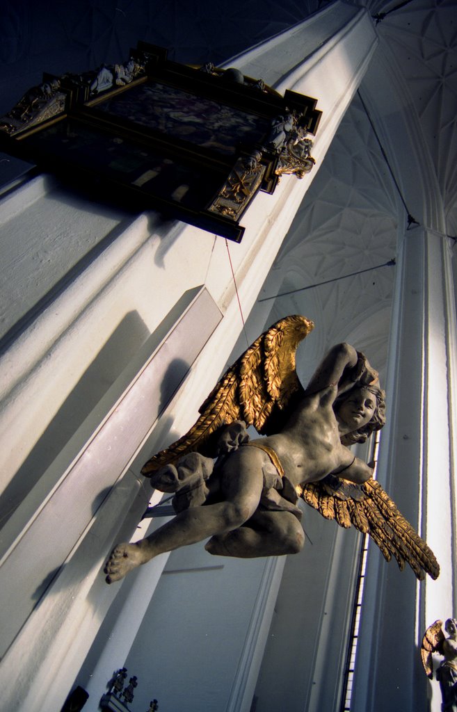 Angel - St. Mary's Church by Lech Ciszak