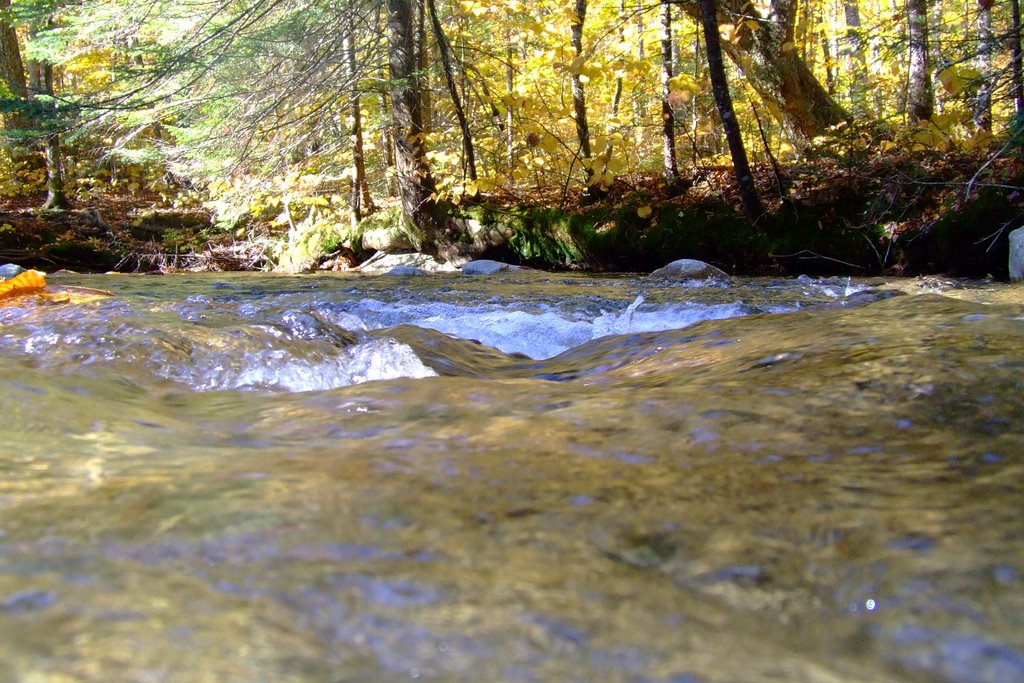 "The Basin" Lincoln, NH by Brian Carney