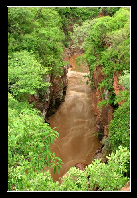 Garganta cerca de Los Chorros del Varal - Gorge near to Los Chorros del Varal by J.Ernesto Ortiz Razo