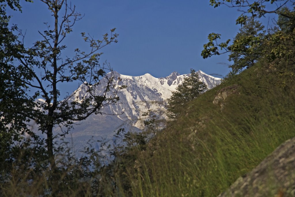 Monte Rosa - Panorama by foxpippo