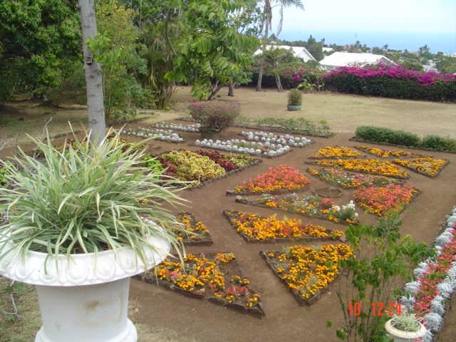 Jardin du musé by CRESCENCE