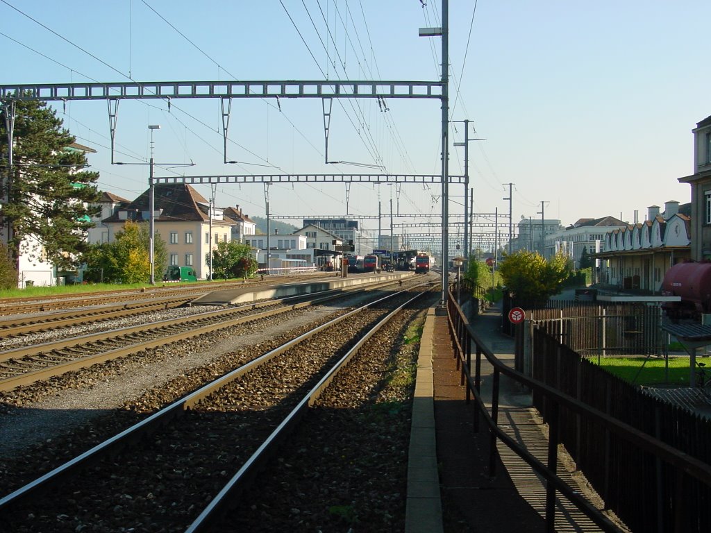 Zofingen - SBB-Linie Olten-Luzern by greenplanet