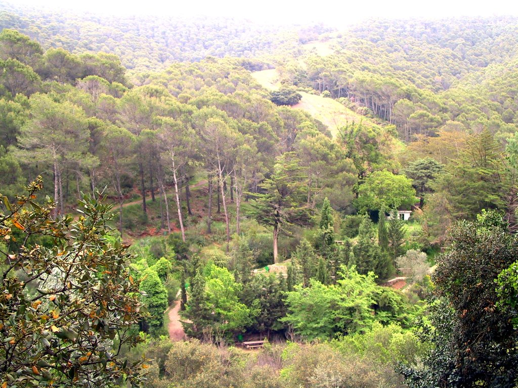 Area recreativa de Torrijos by calvono14