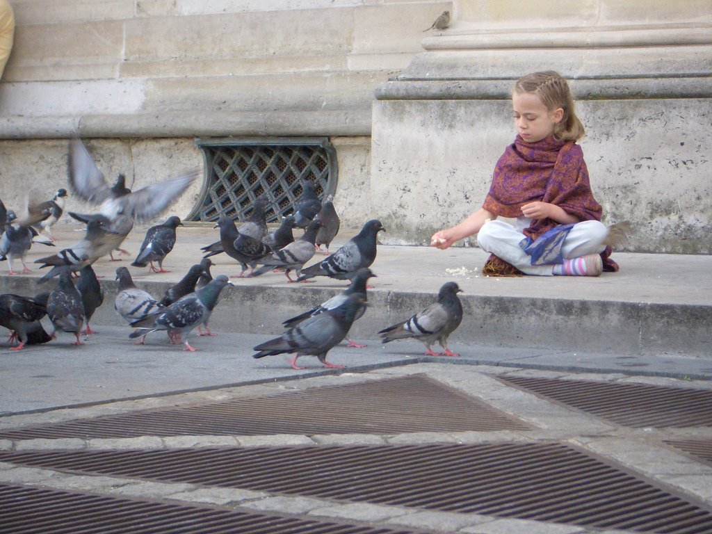 Pigeons at the Louvre by Daniel J. Post