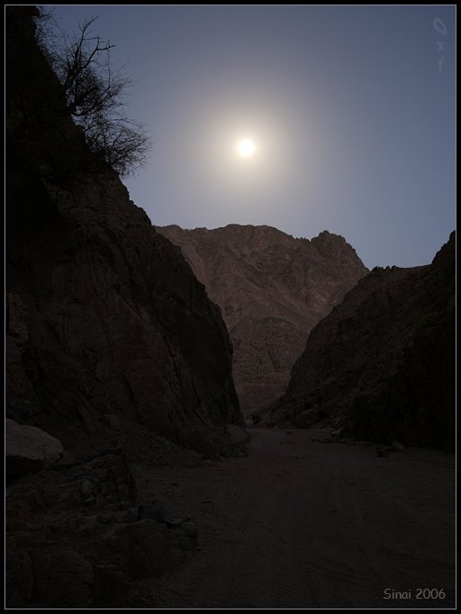 Wadi Qnai by OxyPhoto.ru - O x y