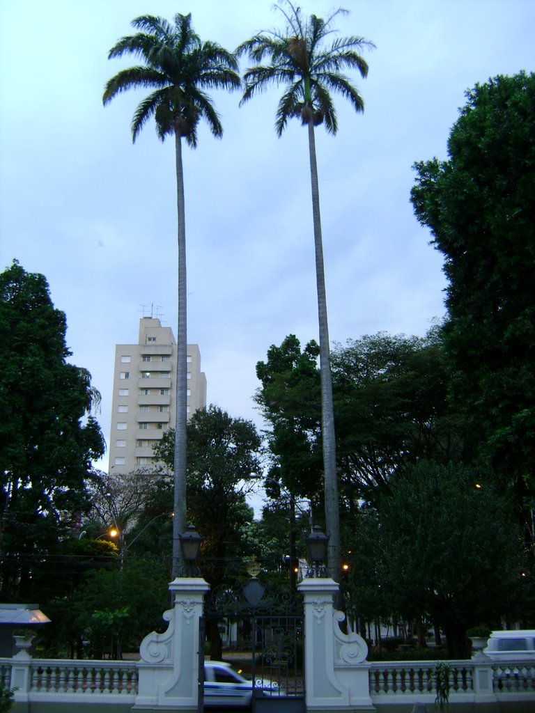 Centro - Praça Luis de Camões by Alexander Denarelli