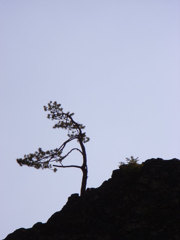 Wental bei Steinheim, Ostalb by Thomas Haselberger