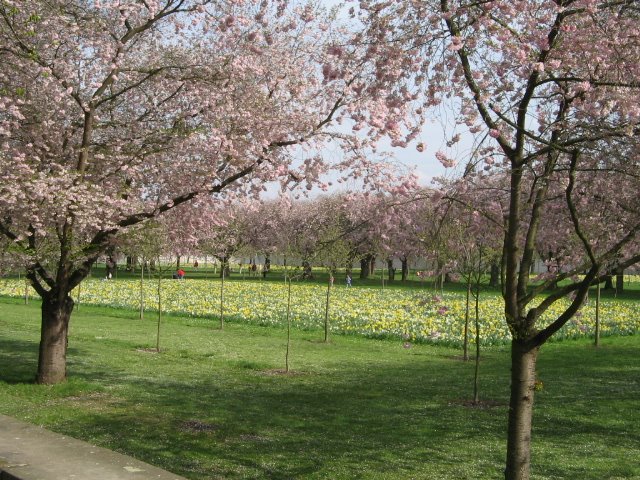 Schwetzingen, Germany by Sadabense