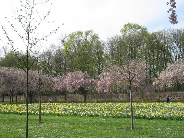 Schwetzingen, Germany by Sadabense