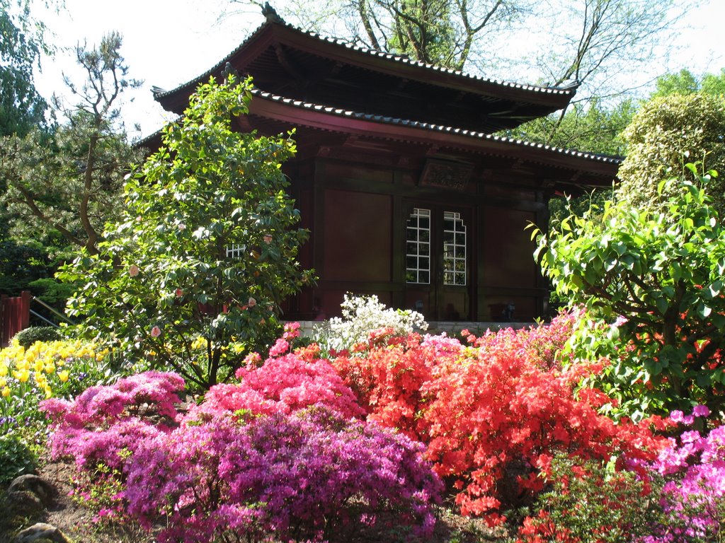 Teehaus im japanischen Garten by Astrid Scholtz