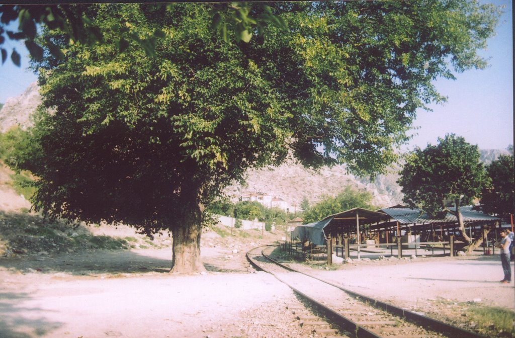 Amasya Pazar Yeri by serdartoker