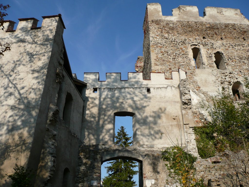 Kirchschlag - Burgruine, Toreinfahrt (2008-10-10) by mag.ludi