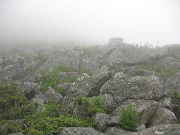 The Ramparts in Fog, Carter Notch by Syagria