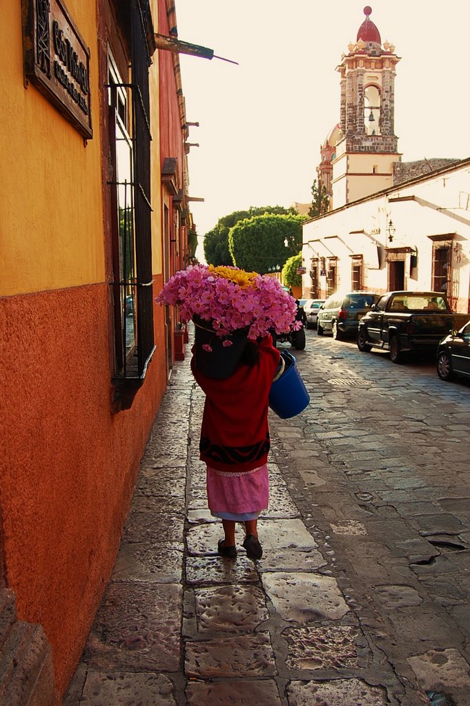 Traditional Flower Scene at San Miguel de Allende by Jorge Martinez R