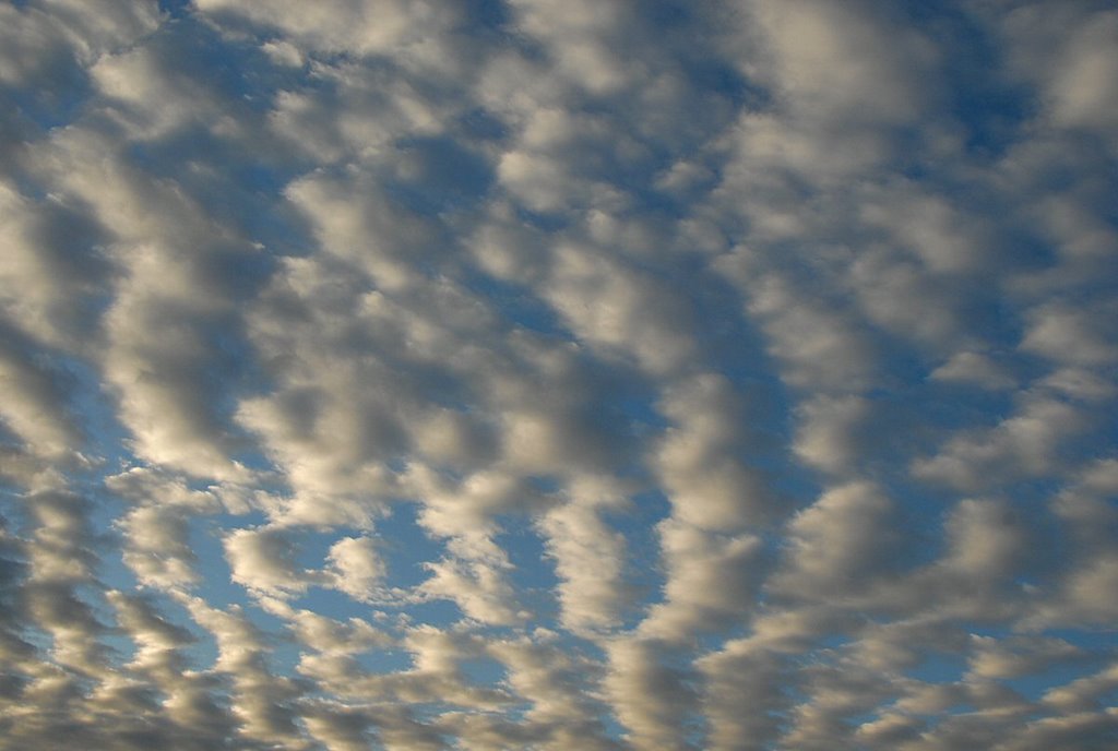 Clouds by David Humphreys