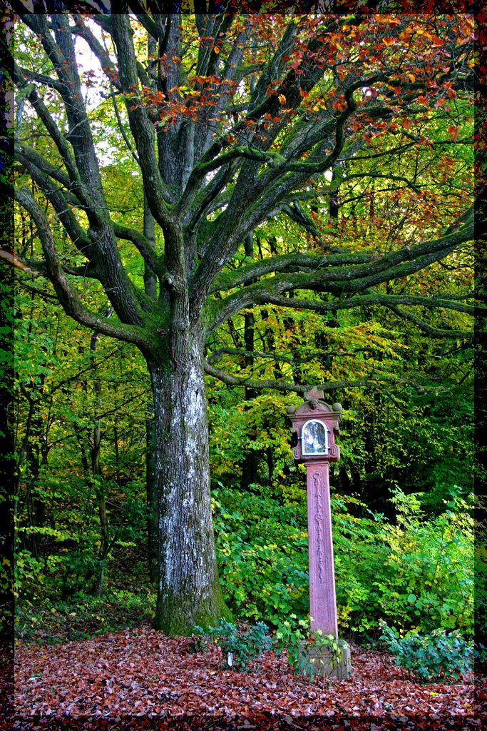 Bildstock bei Mackenheim Odenwald by Rita Eberle-Wessner