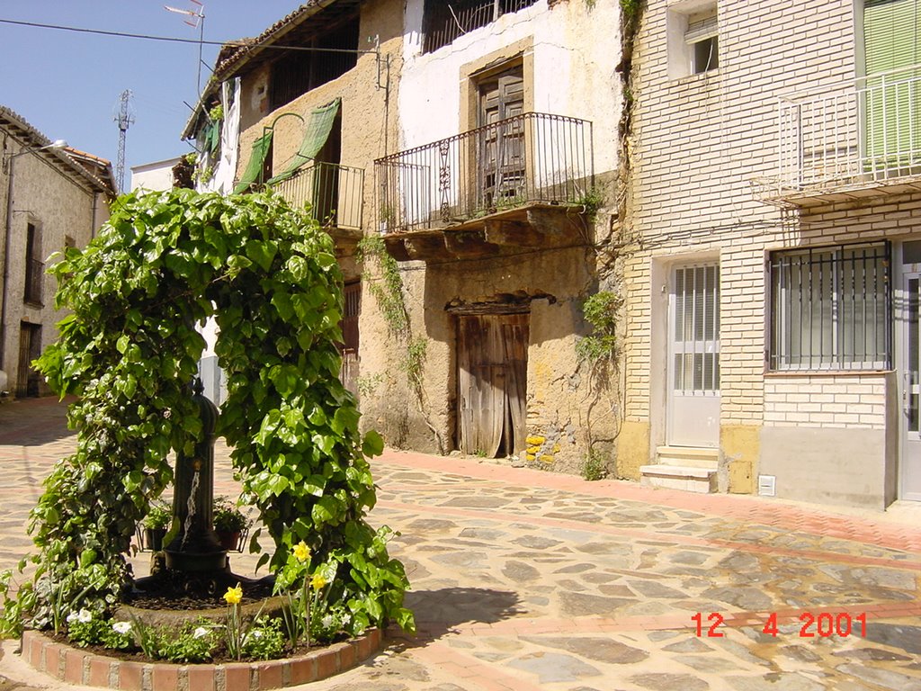 Fuente de los Barreros by P. Delgado