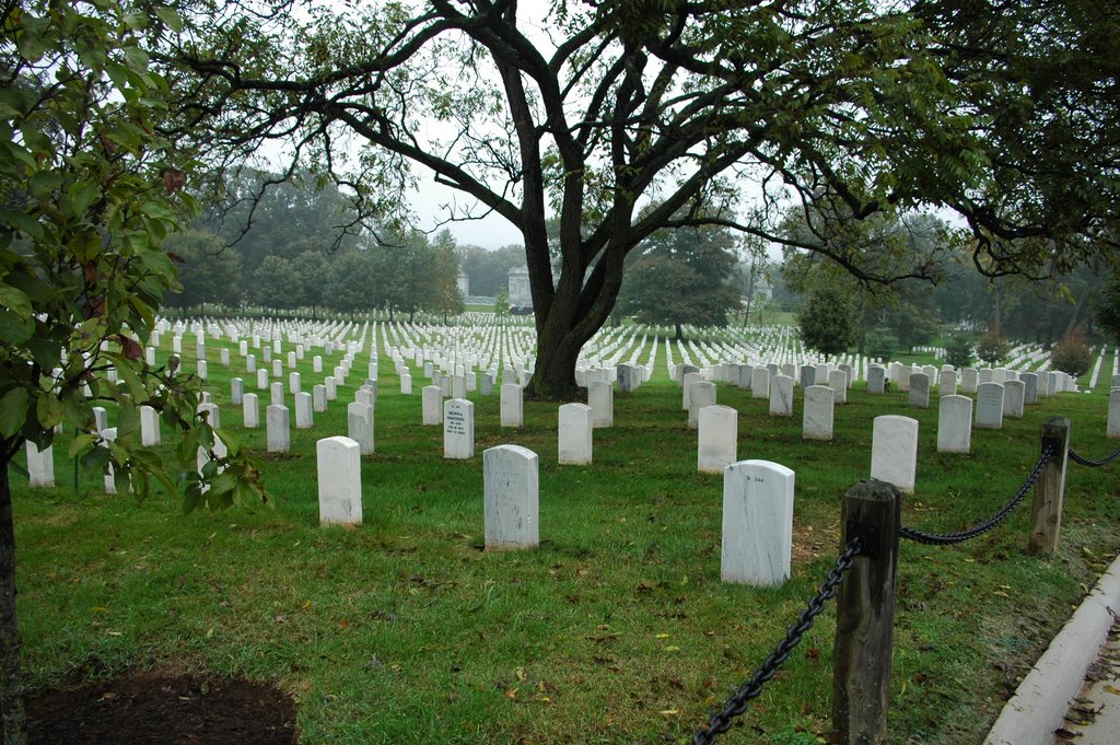 Arlington National Cemetery by Seezunge