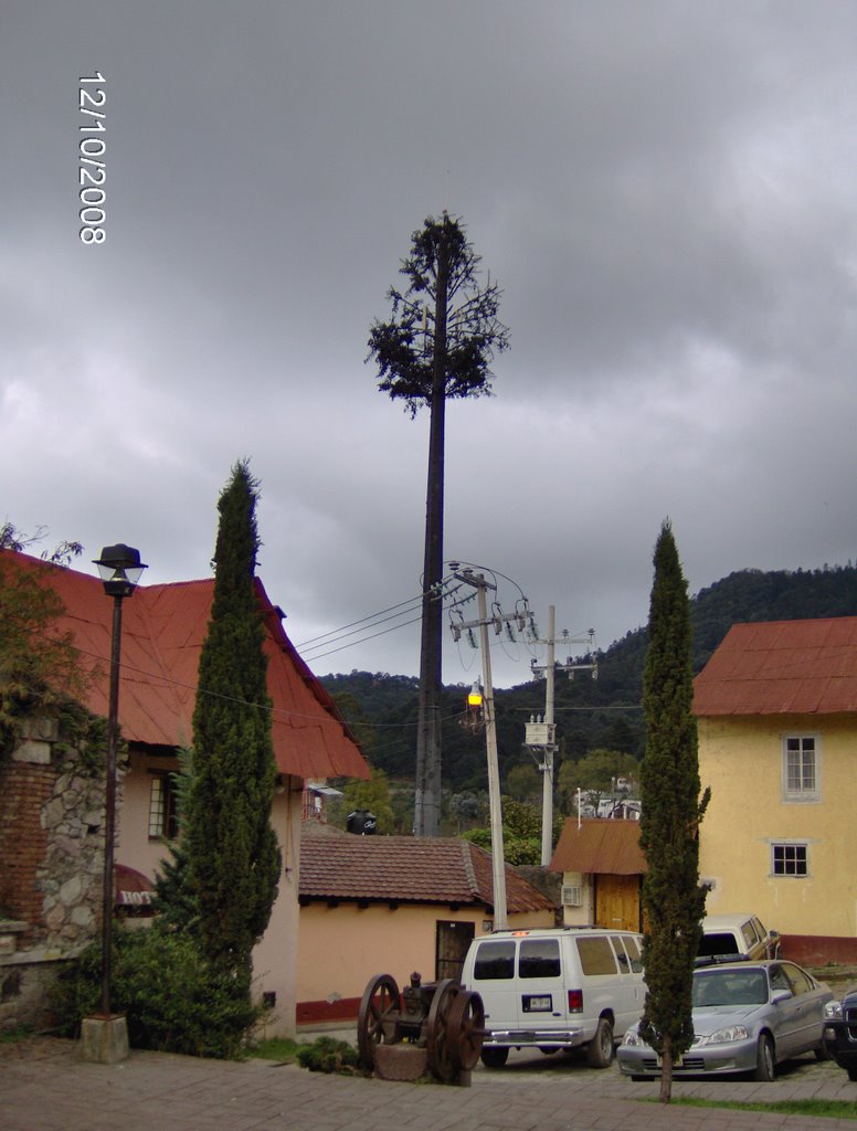 Artificial tree. telecommunication antennas. mineral boy. Arbol artificial. Antena de telecomunicacion. Mineral del Chico. by Jose Antonio Zarazua…