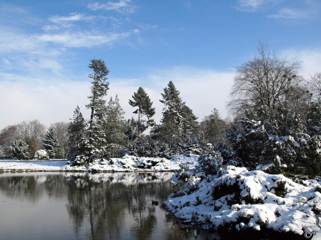 Łódź park Poniatowskiego. III 2008r. by Fotadek