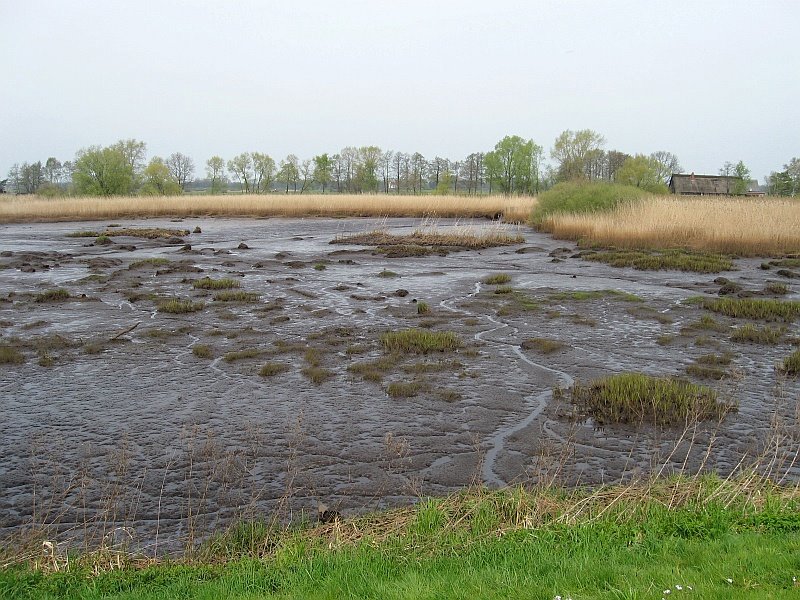 Hochwasser-Ausweichfläche der Wümme - Blockland, Bremen - 04.2008 by trigonal