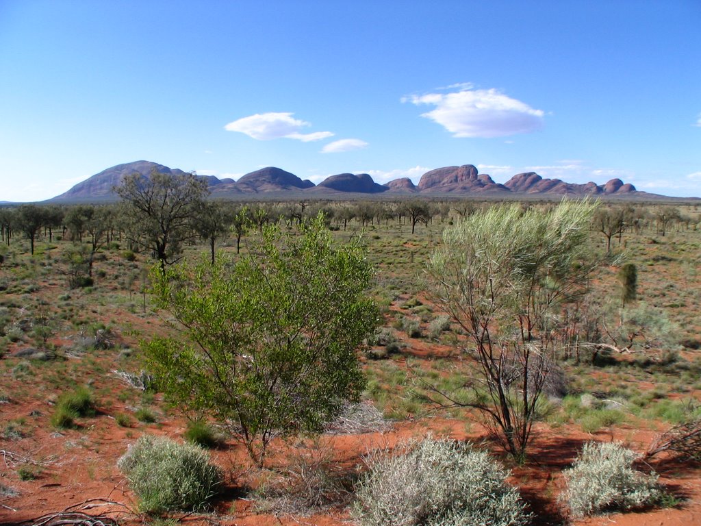 Wide-angle: Kata Tjuta Lookout by Wibo Hoekstra