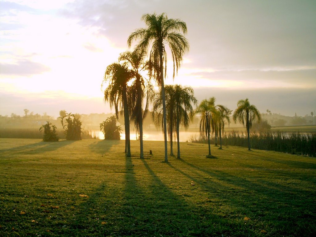 Amanhecer do dia visto do lago em frente ao Instituto de Veterinária - UFRRJ, Seropédica - RJ by Laerso Junior